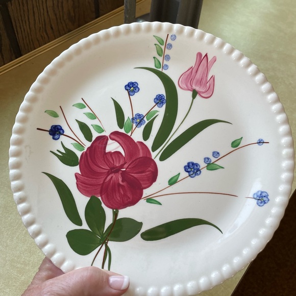 Blue Ridge Southern Pottery Floral 
Hand Painted Dinner Plate 10.25"
RARE - Picture 3 of 5